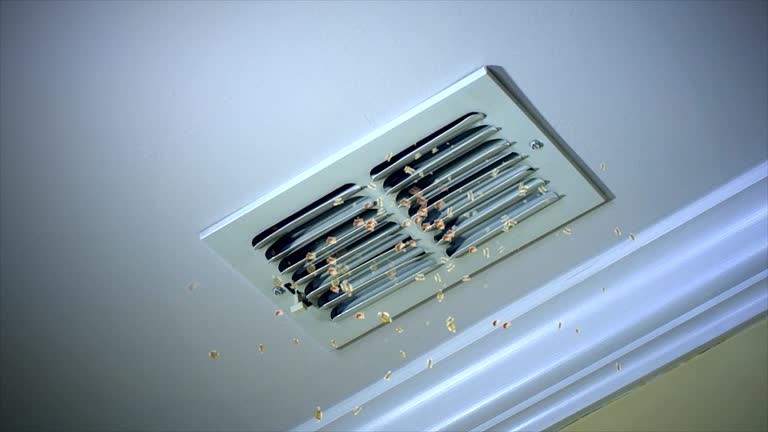 Best Professional Duct Cleaning Services  in Como, WI